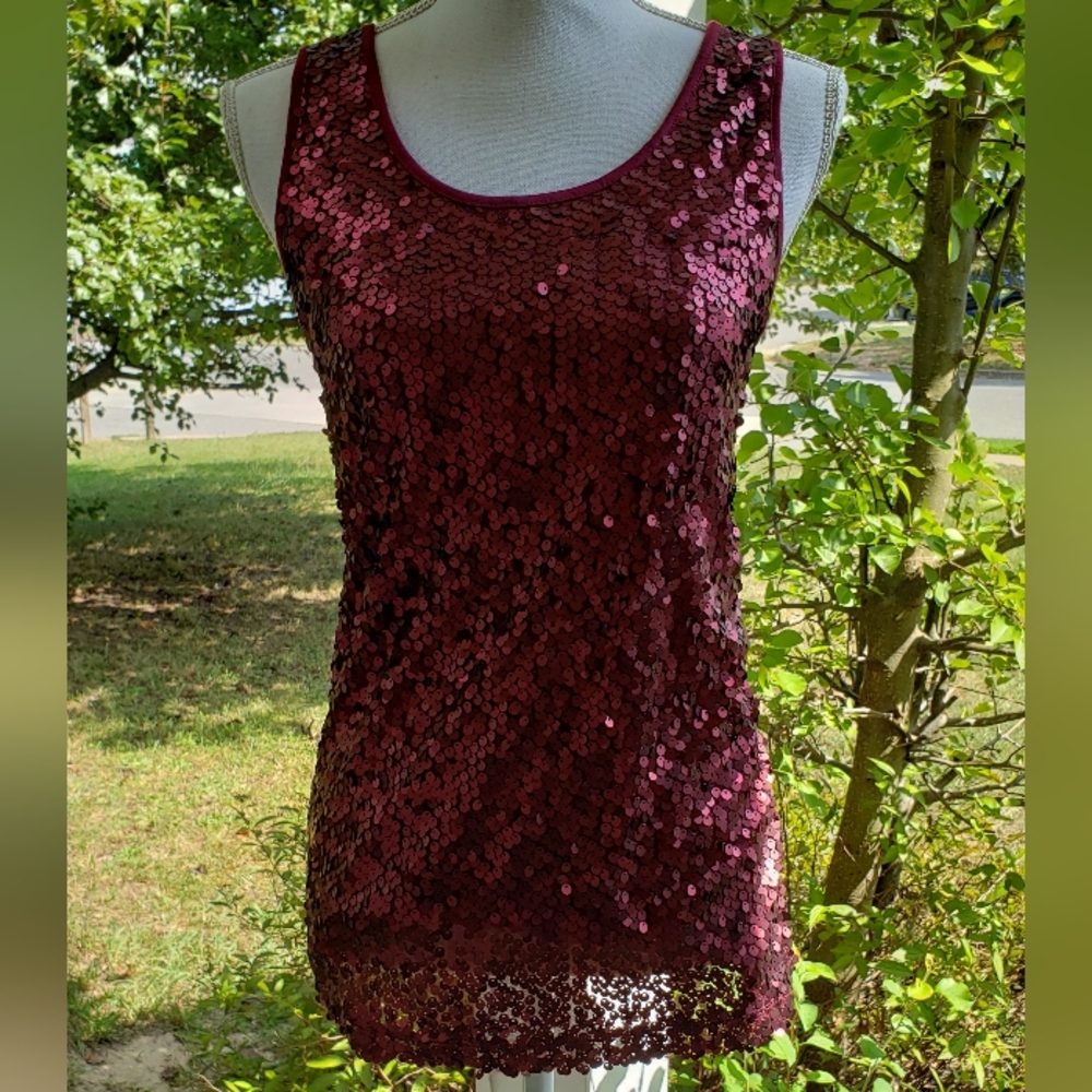 Cato Sequin Top